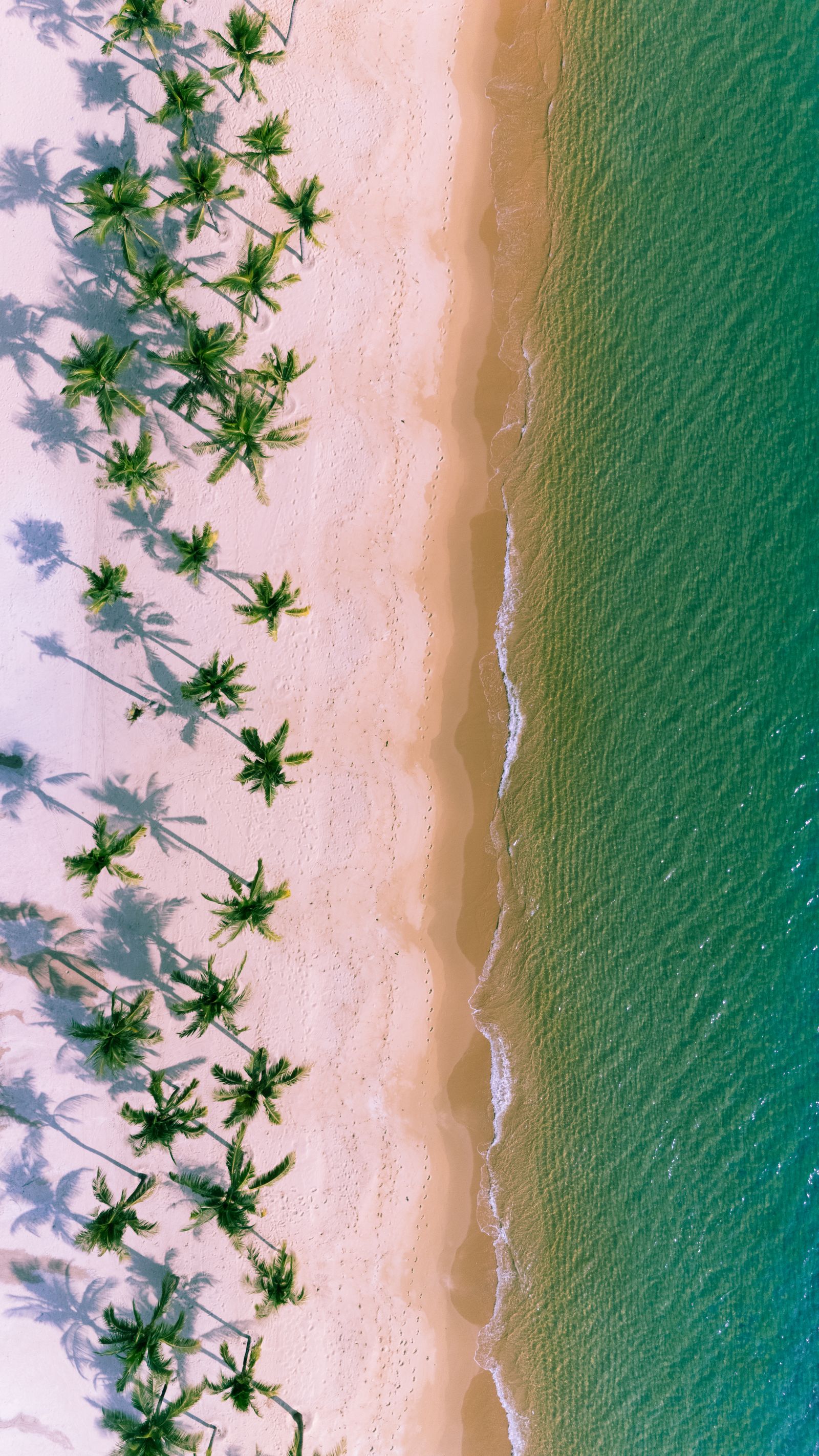 Lagons & îles