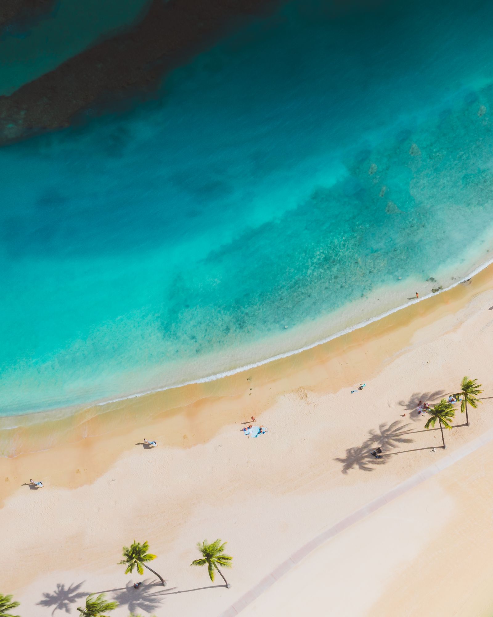 Plages tropicales